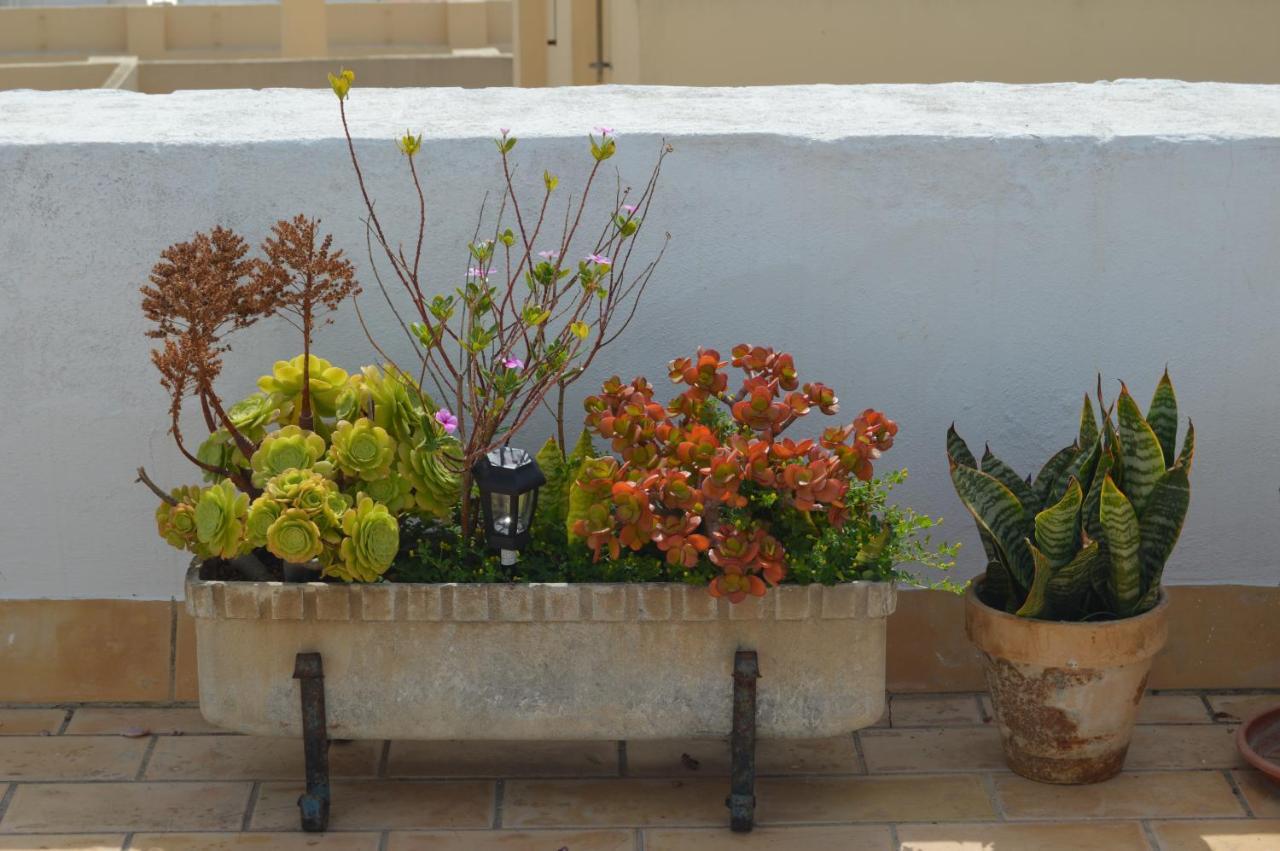 Apartamento El Mirador De Cadiz Dış mekan fotoğraf